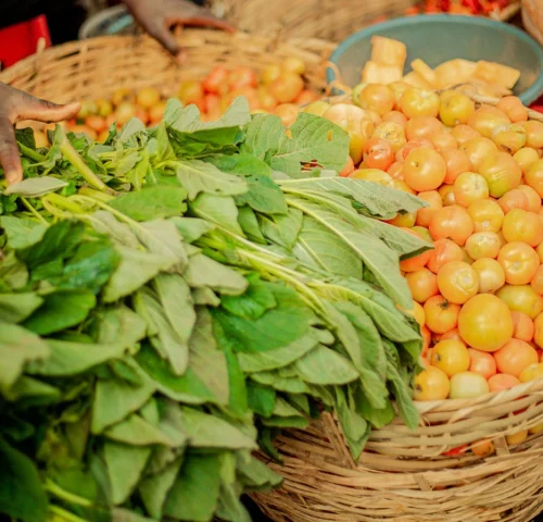 Ultrices sagittis orci a scelerisque purus semper eget duis at. Sollicitudin nibh sit amet.