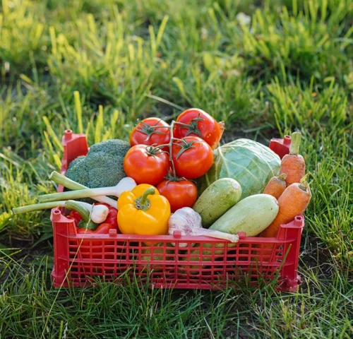 There are many variations of passages of Lorem Ipsum available, but majority have suffered teration in some form, by injected humour, or randomised words which don't look even slight believable. If you are going to use a passage of Lorem Ipsum.