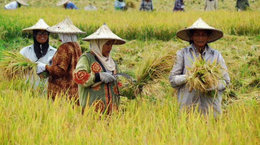 There are many variations of passages of Lorem Ipsum available, but majority have suffered teration in some form, by injected humour, or randomised words which don't look even slight believable. If you are going to use a passage of Lorem Ipsum.