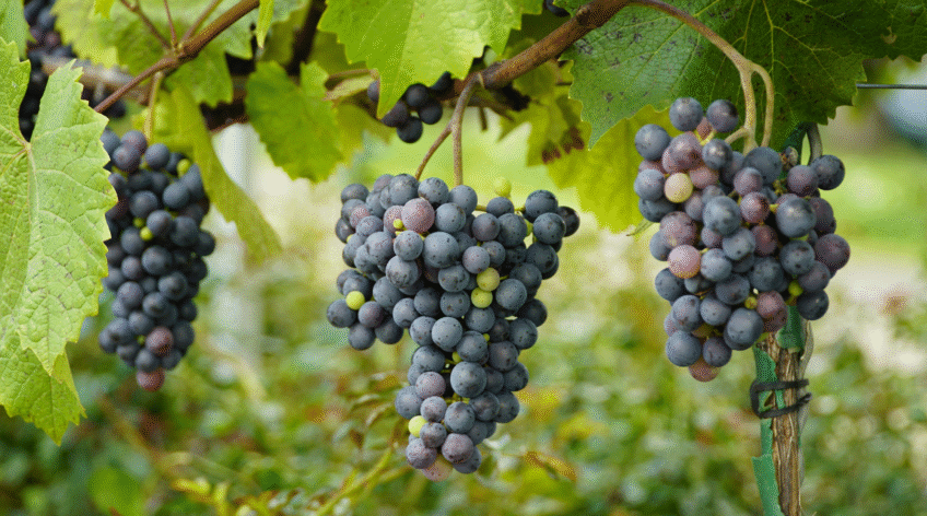 There are many variations of passages of Lorem Ipsum available, but majority have suffered teration in some form, by injected humour, or randomised words which don't look even slight believable. If you are going to use a passage of Lorem Ipsum.