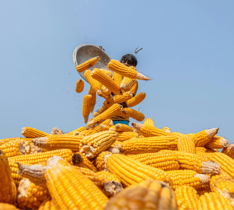 There are many variations of passages of Lorem Ipsum available, but majority have suffered teration in some form, by injected humour, or randomised words which don't look even slight believable. If you are going to use a passage of Lorem Ipsum.