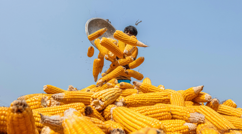 There are many variations of passages of Lorem Ipsum available, but majority have suffered teration in some form, by injected humour, or randomised words which don't look even slight believable. If you are going to use a passage of Lorem Ipsum.