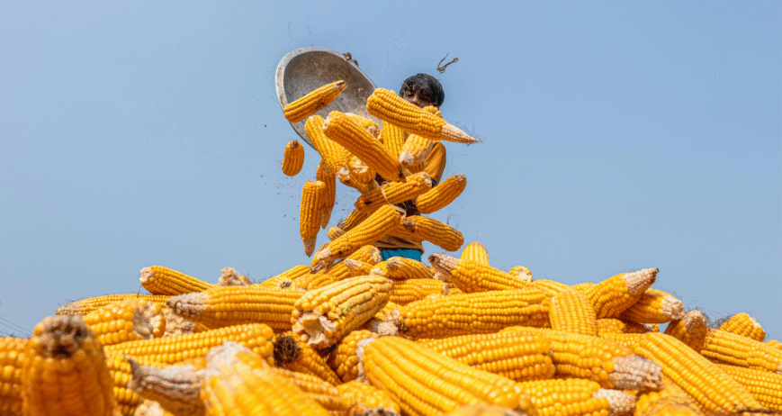 There are many variations of passages of Lorem Ipsum available, but majority have suffered teration in some form, by injected humour, or randomised words which don't look even slight believable. If you are going to use a passage of Lorem Ipsum.