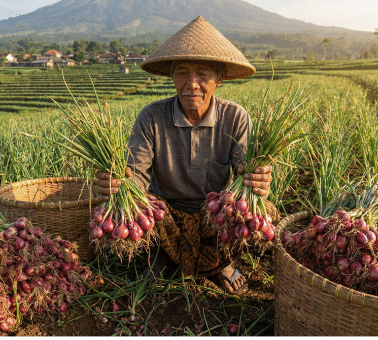 There are many variations of passages of Lorem Ipsum available, but majority have suffered teration in some form, by injected humour, or randomised words which don't look even slight believable. If you are going to use a passage of Lorem Ipsum.